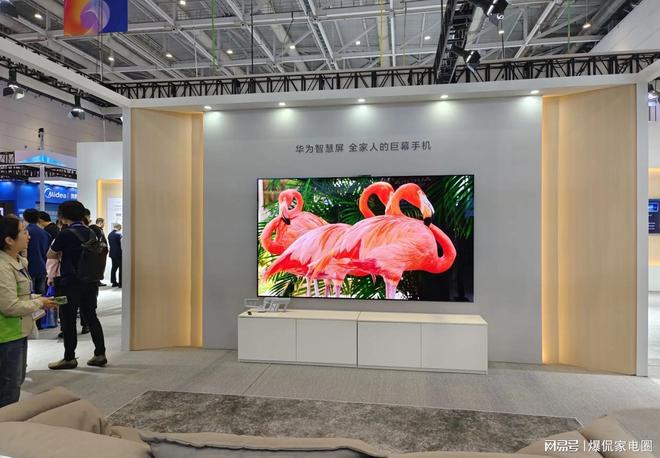 ：小米第2华为垫底最大赢家竟不是TCLEVO视讯2025电视品牌排行前十名(图20)
